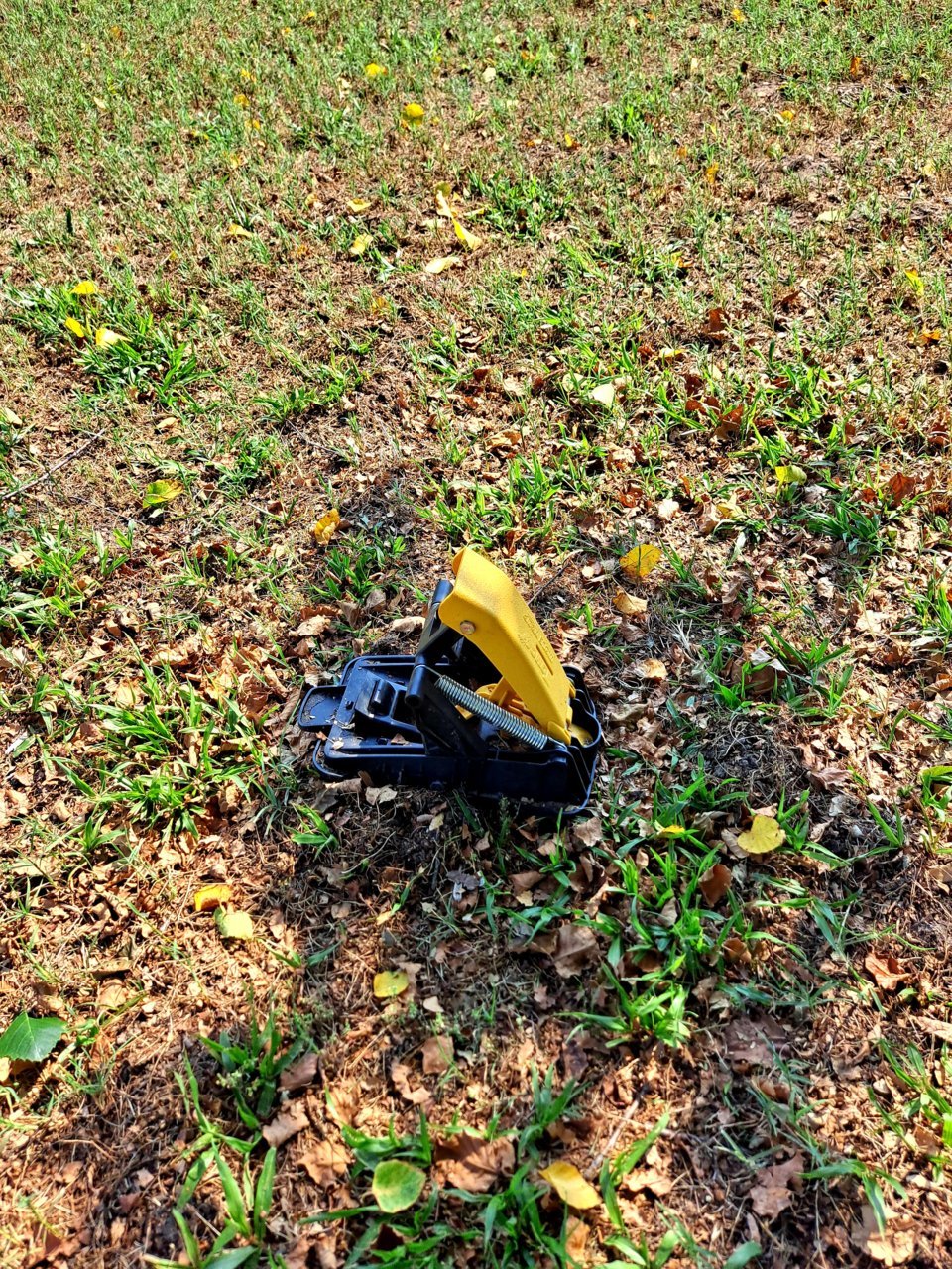 20210704_092916.jpg