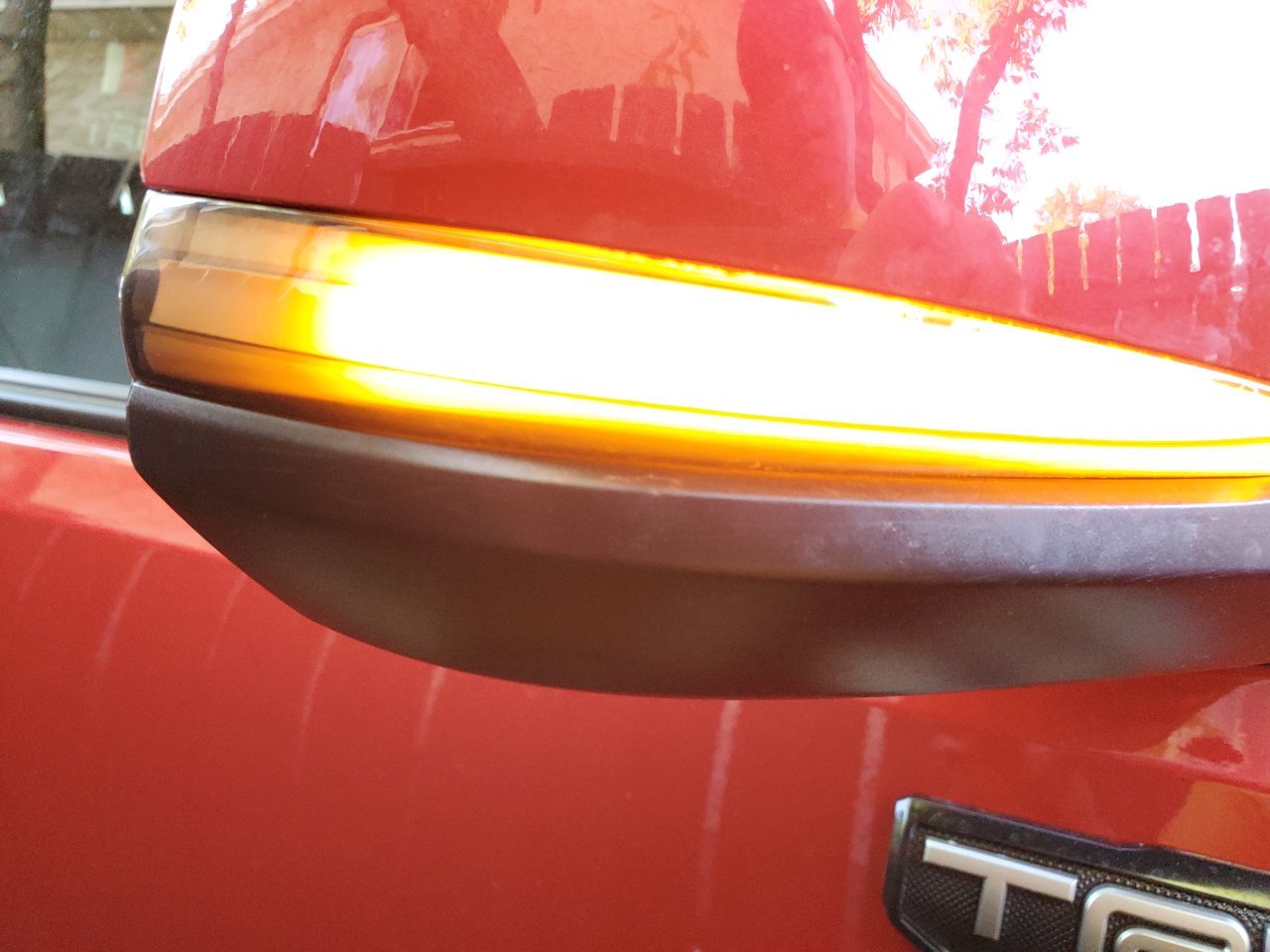 20210708_091044.jpg