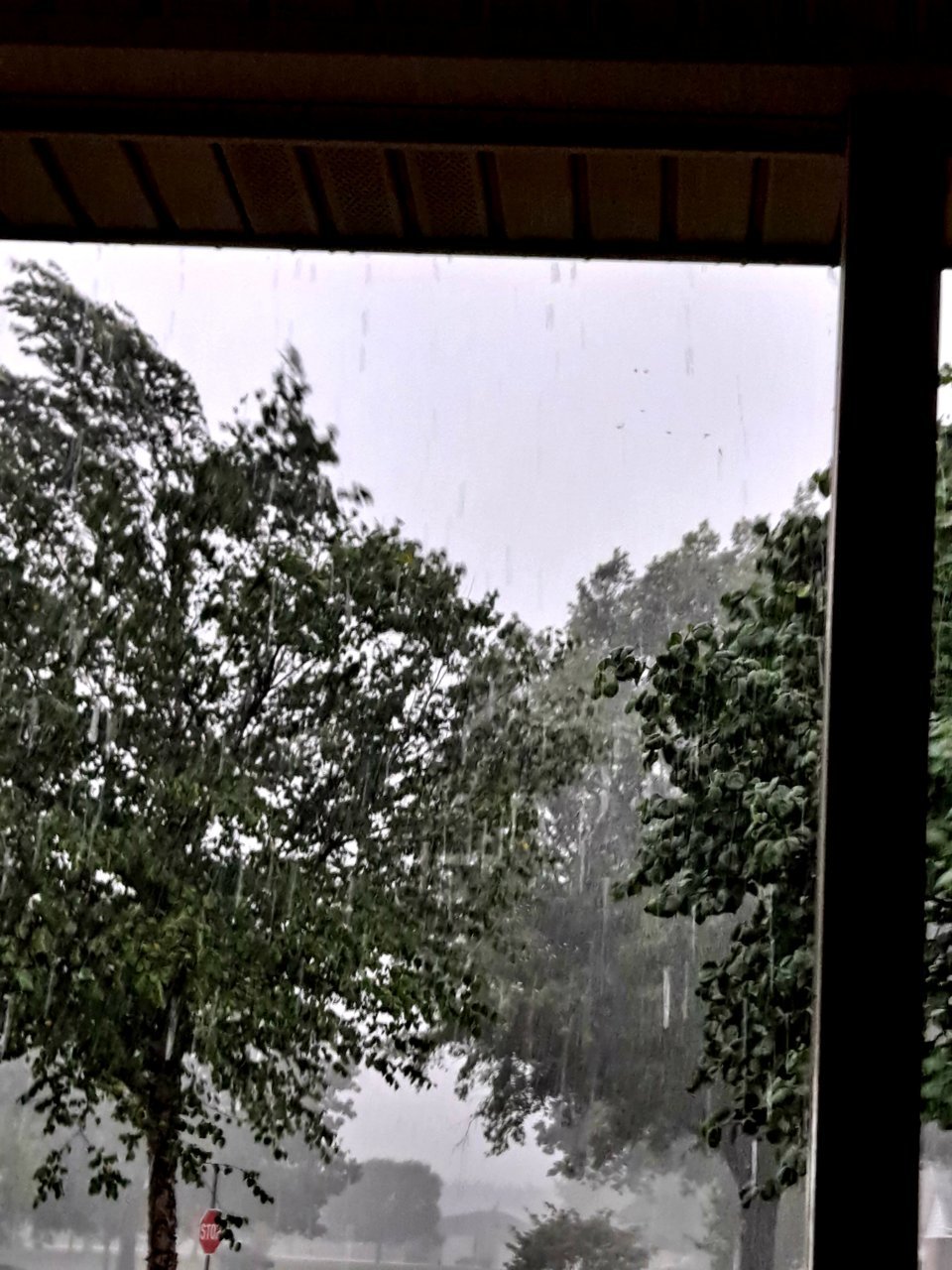 20210708_161212.jpg