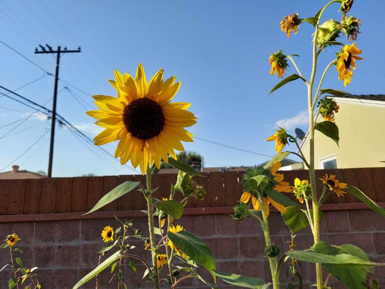 20210710_173315.jpg