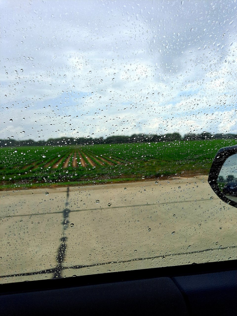 20210712_140524.jpg