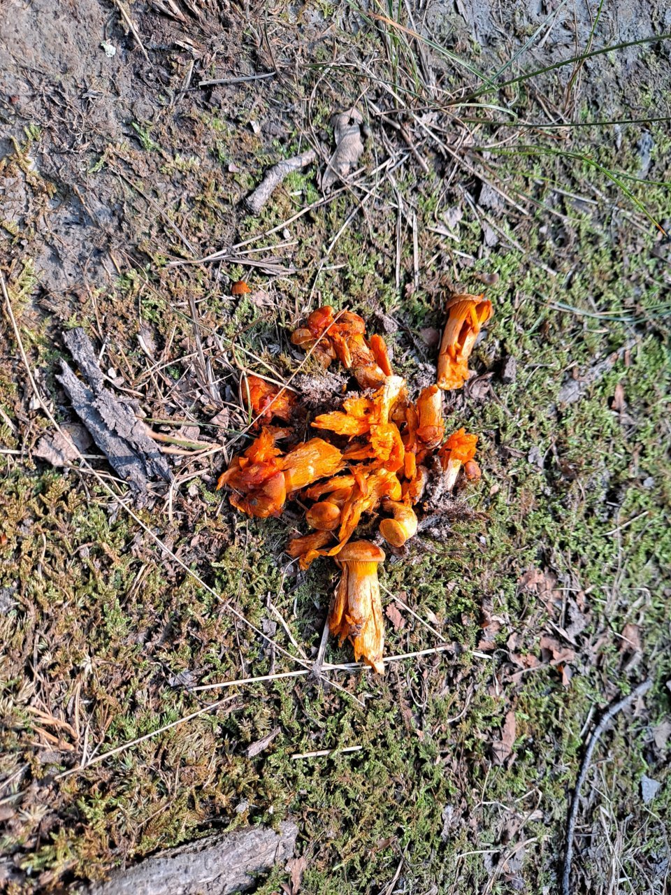 20210720_173607.jpg