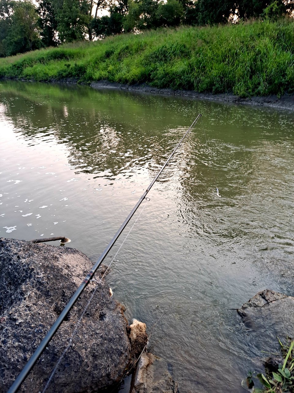 20210720_191954.jpg