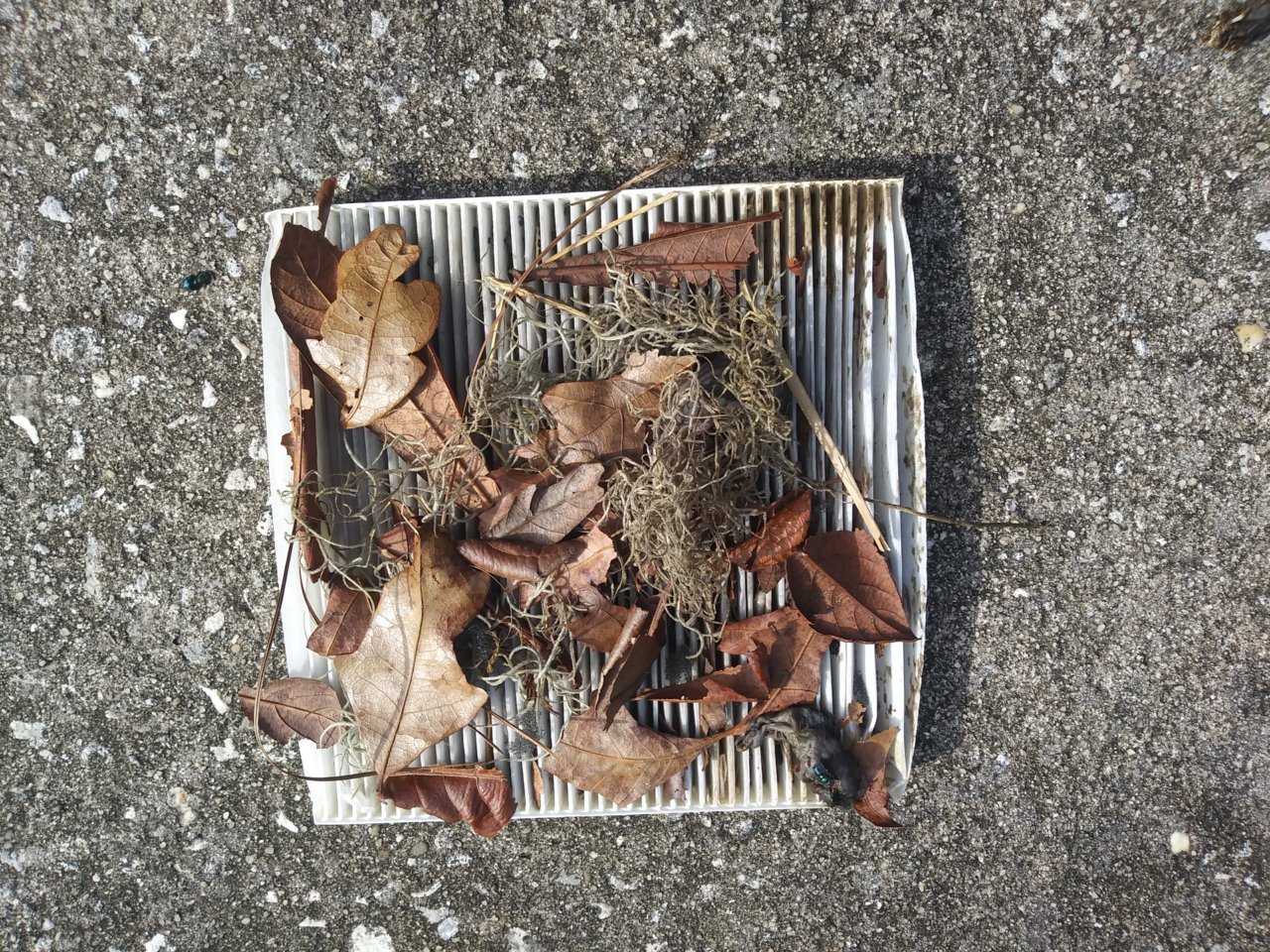 20210721_172349.jpg