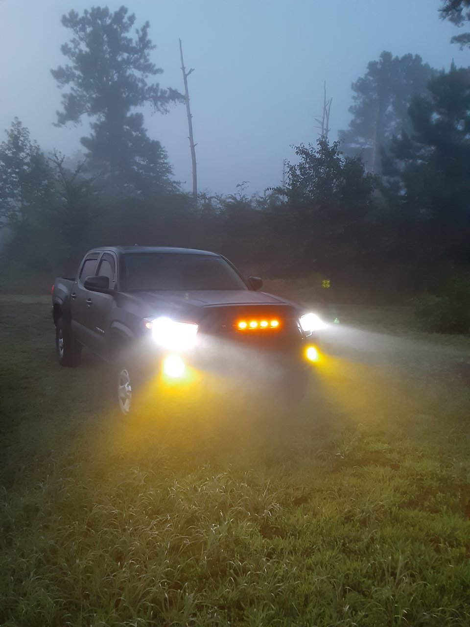 20210723_053601.jpg