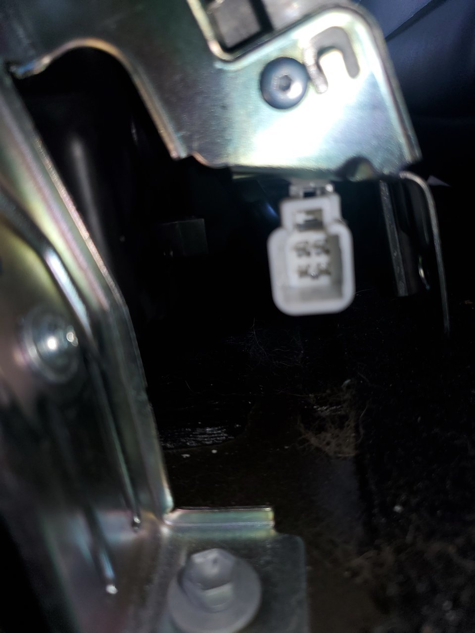 20210723_100657.jpg