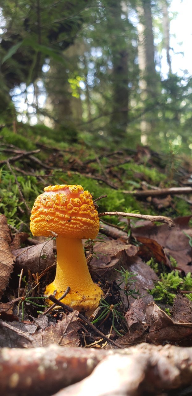 20210724_104942.jpg