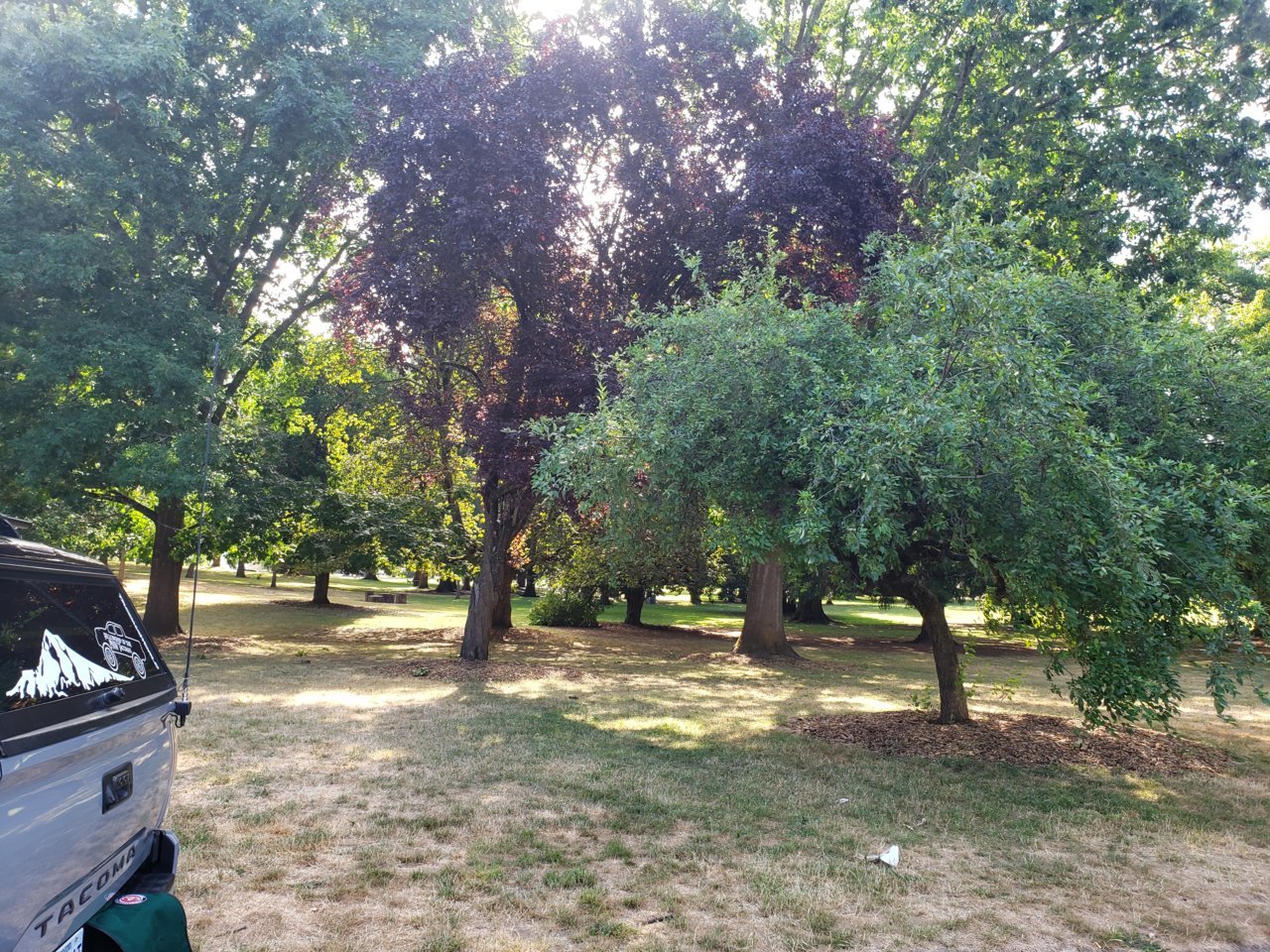 20210726_092131.jpg