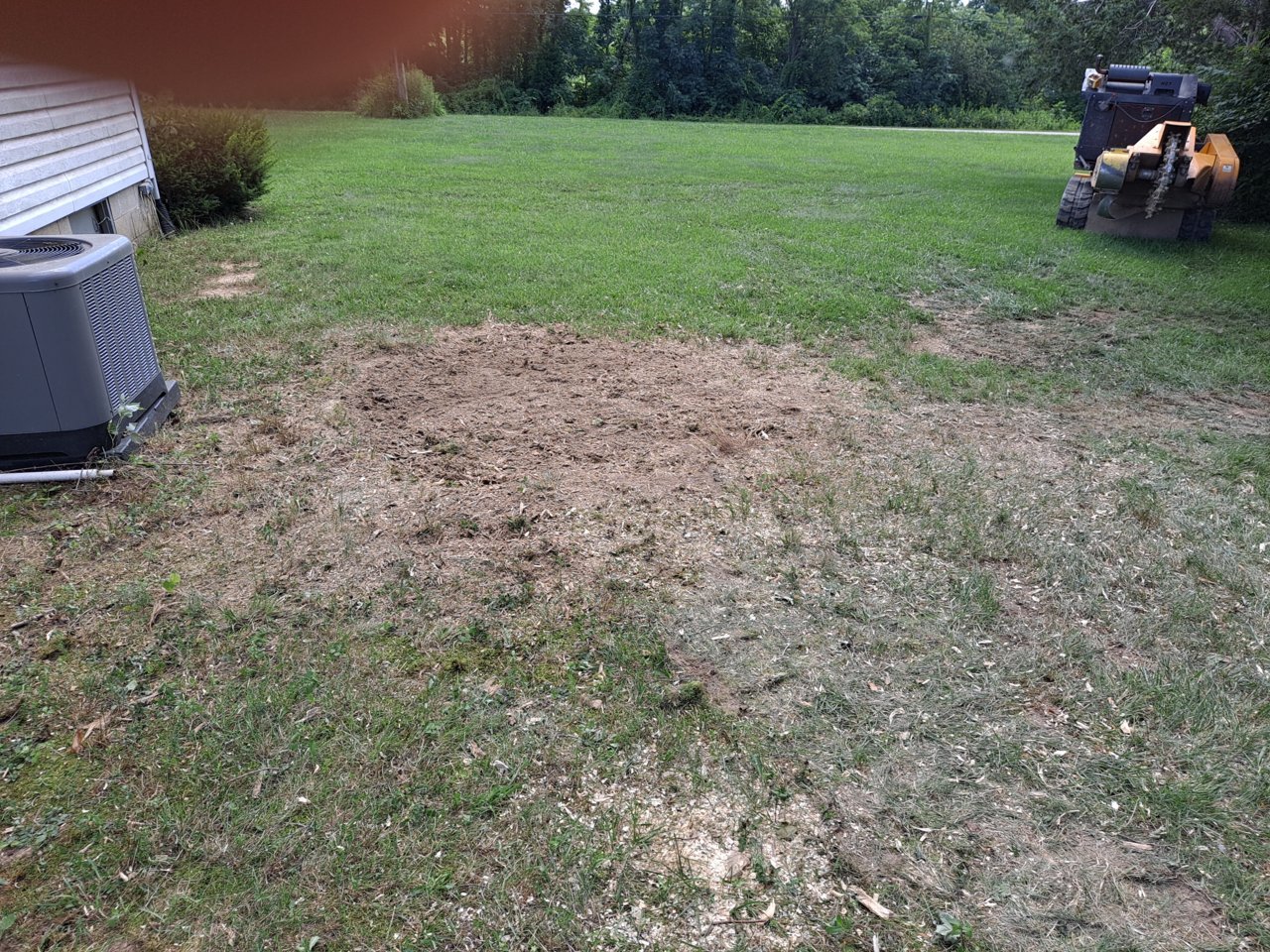 20210726_150644.jpg
