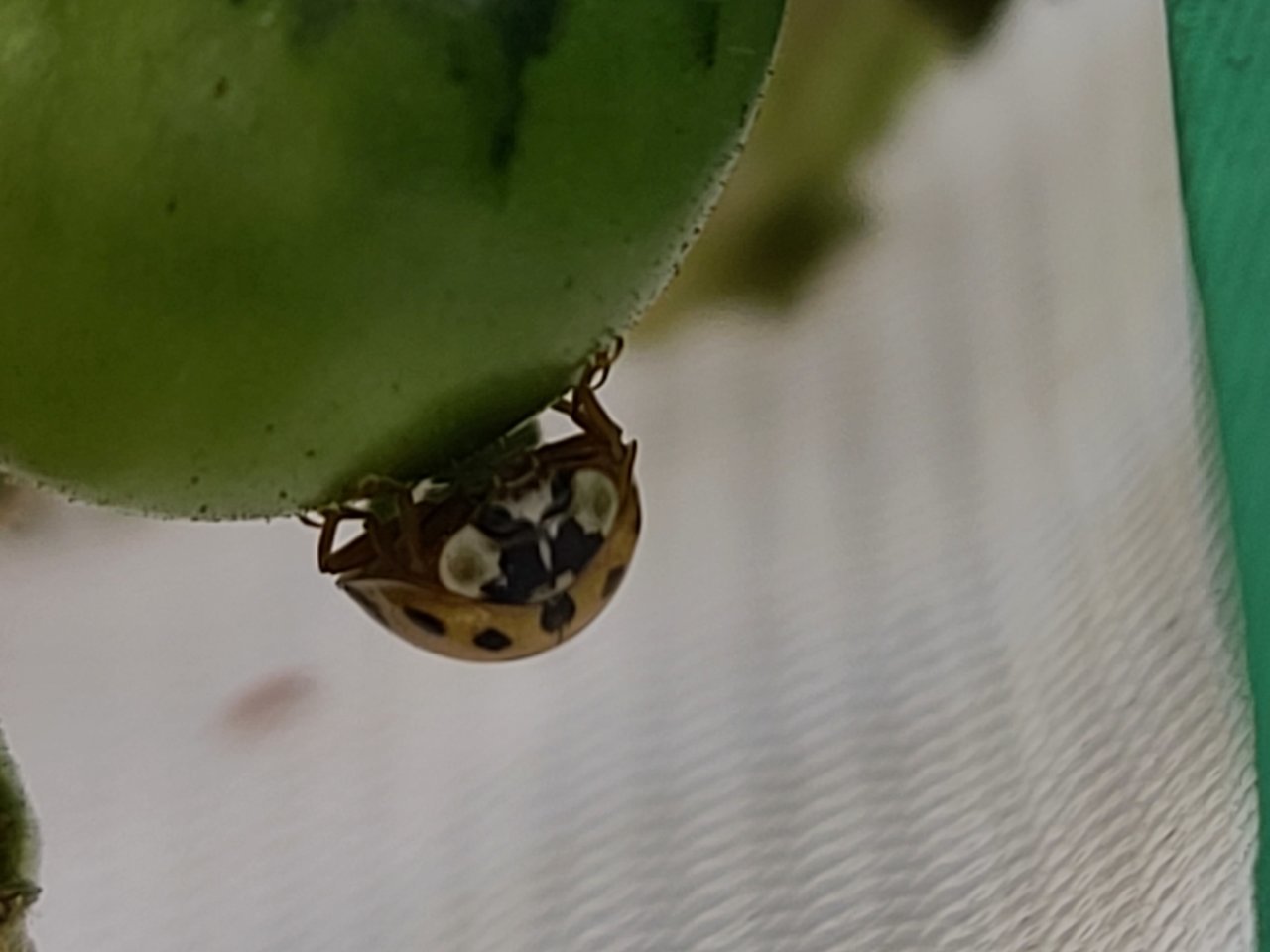 20210727_141006.jpg