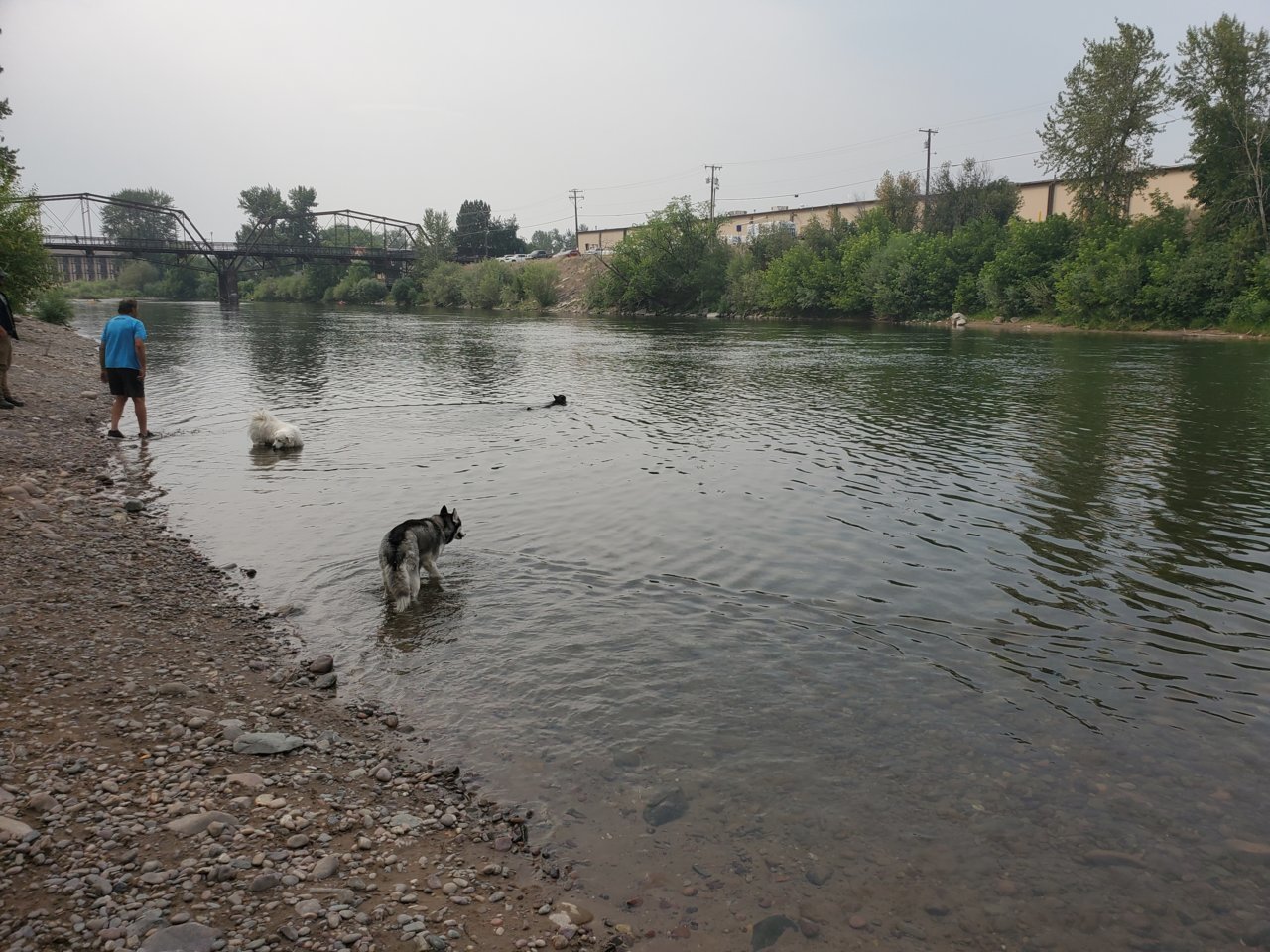 20210727_170413.jpg