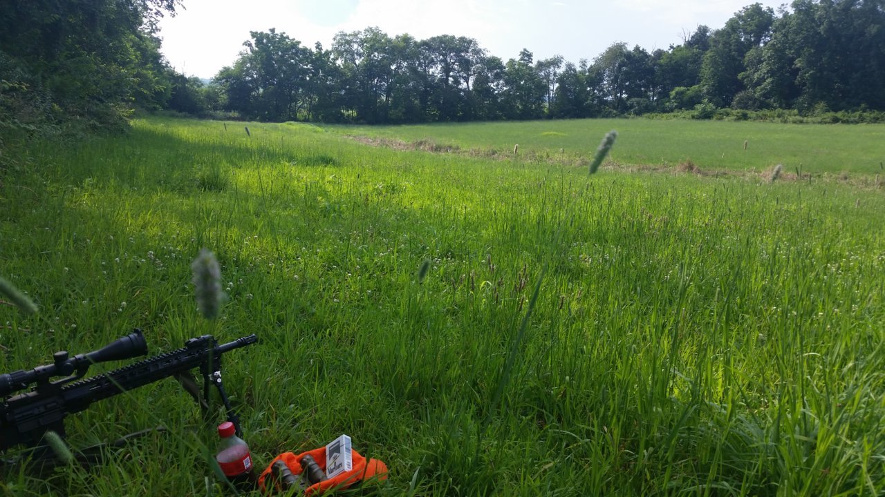 20210728_172804.jpg