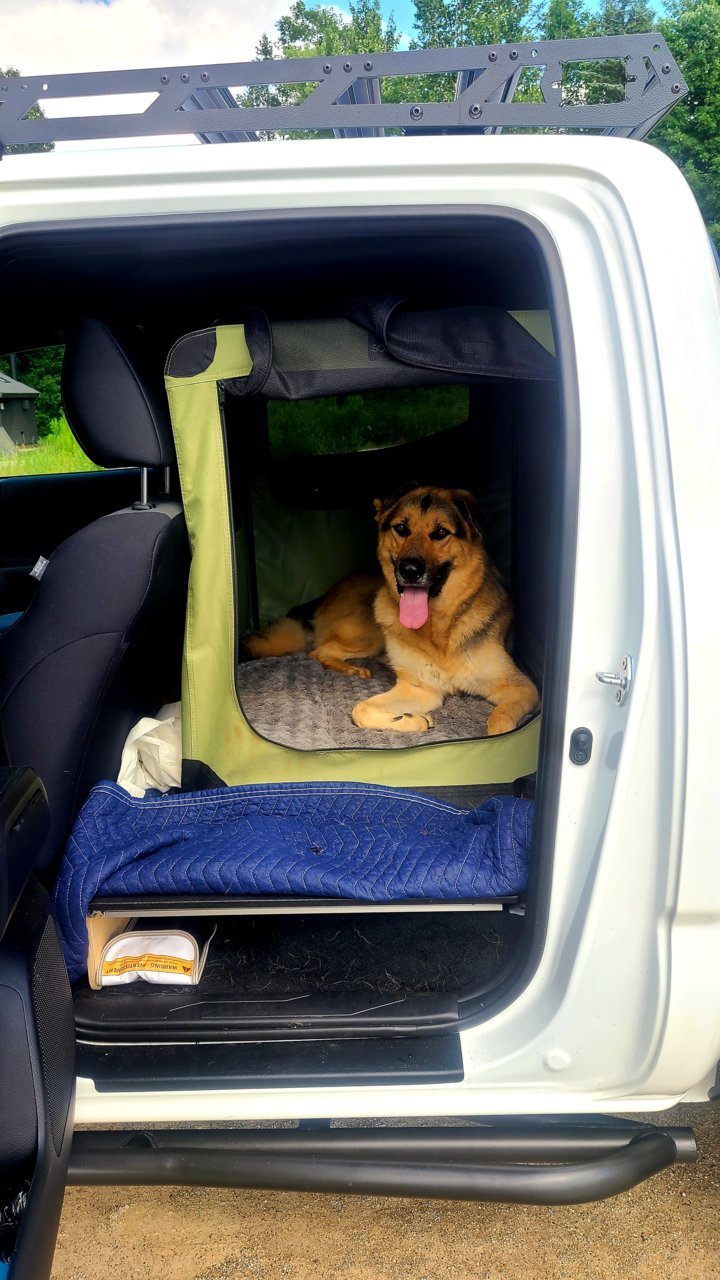 Dog crate for truck cab sale