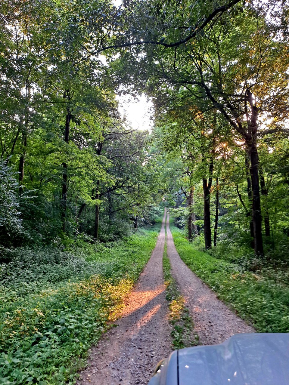 20210730_185023.jpg