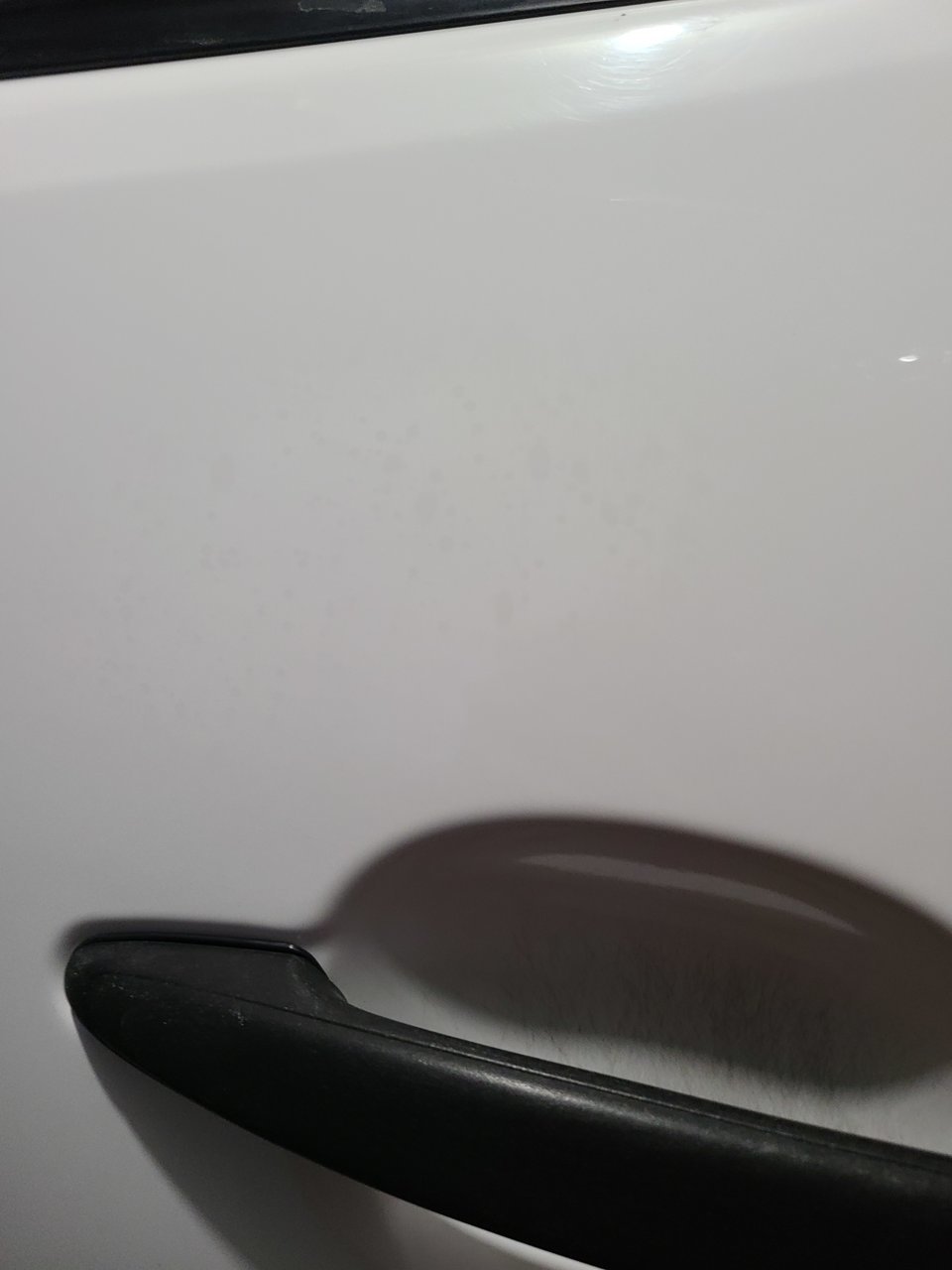 20210731_064413.jpg