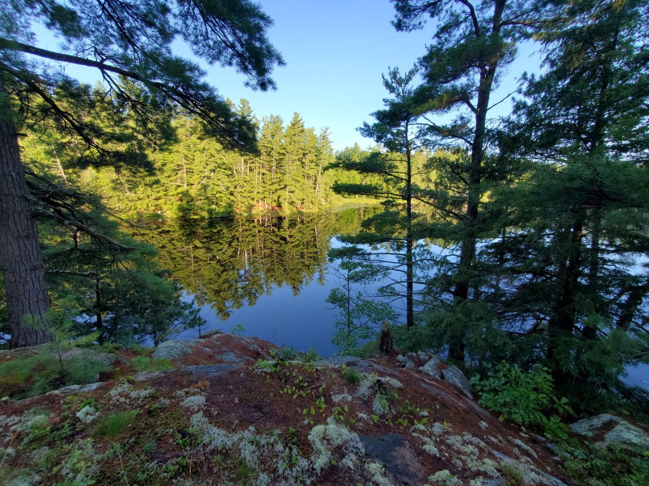 20210802_073417.jpg