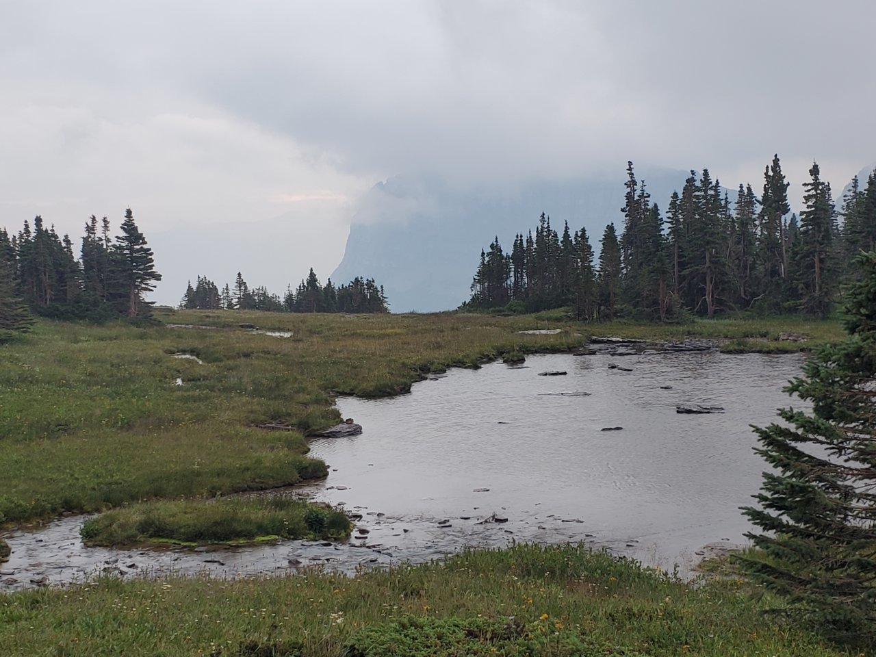 20210802_075141.jpg