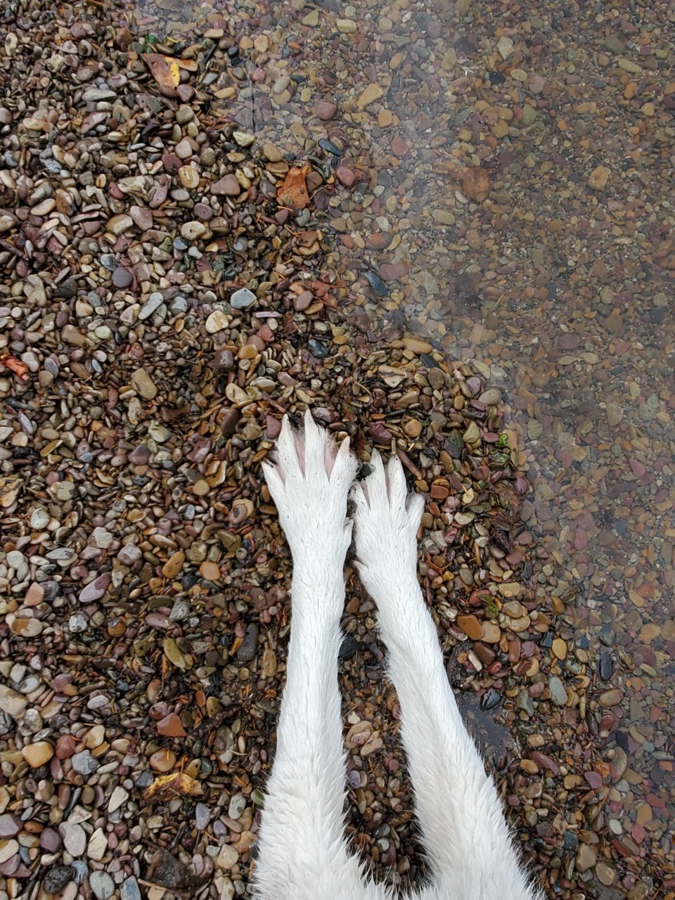 20210802_170600.jpg