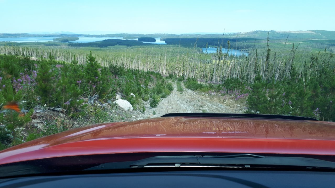 20210803_111649.jpg