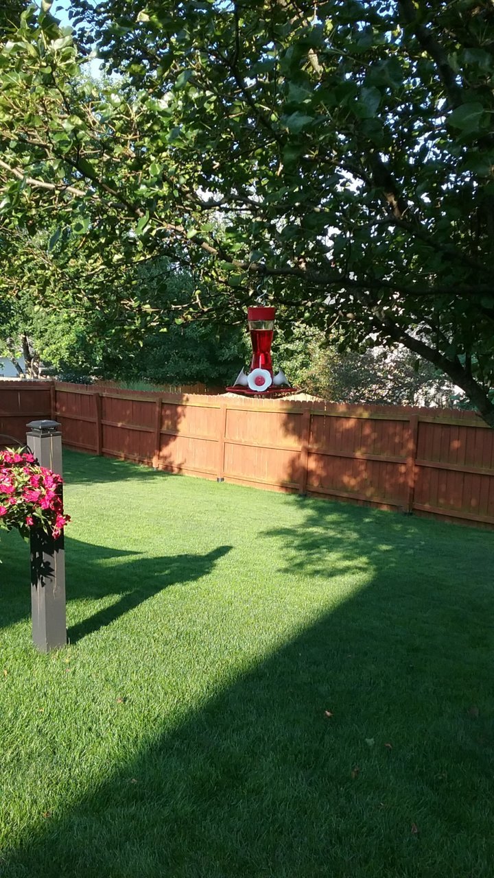 20210803_183412.jpg