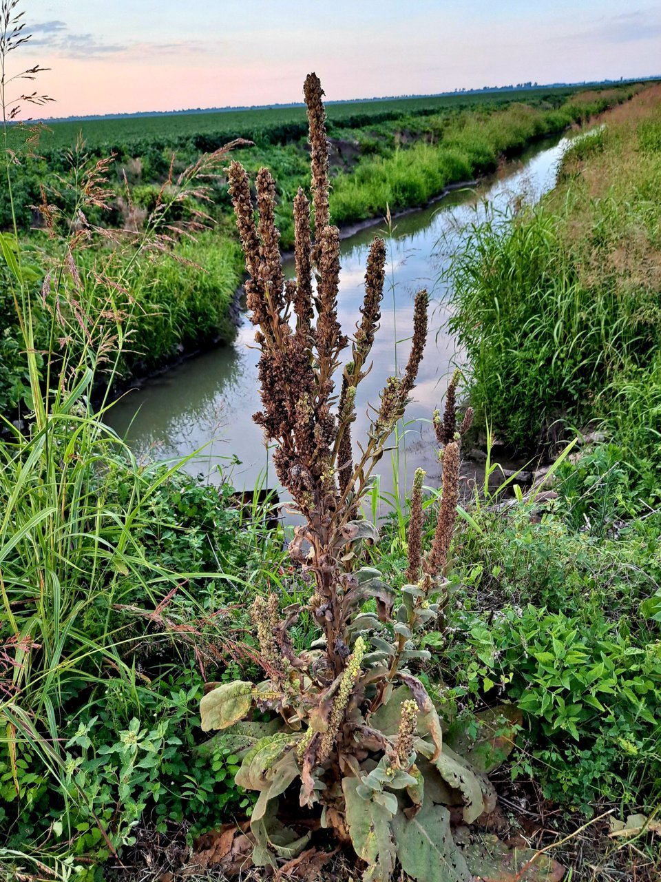 20210803_192817.jpg