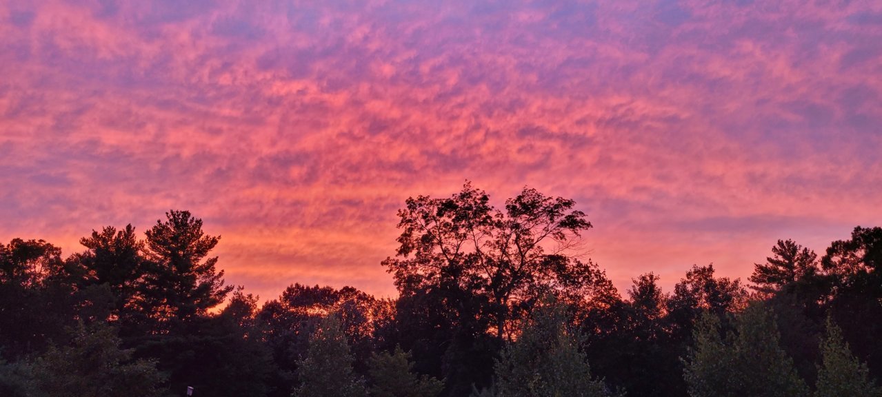 20210803_201438.jpg