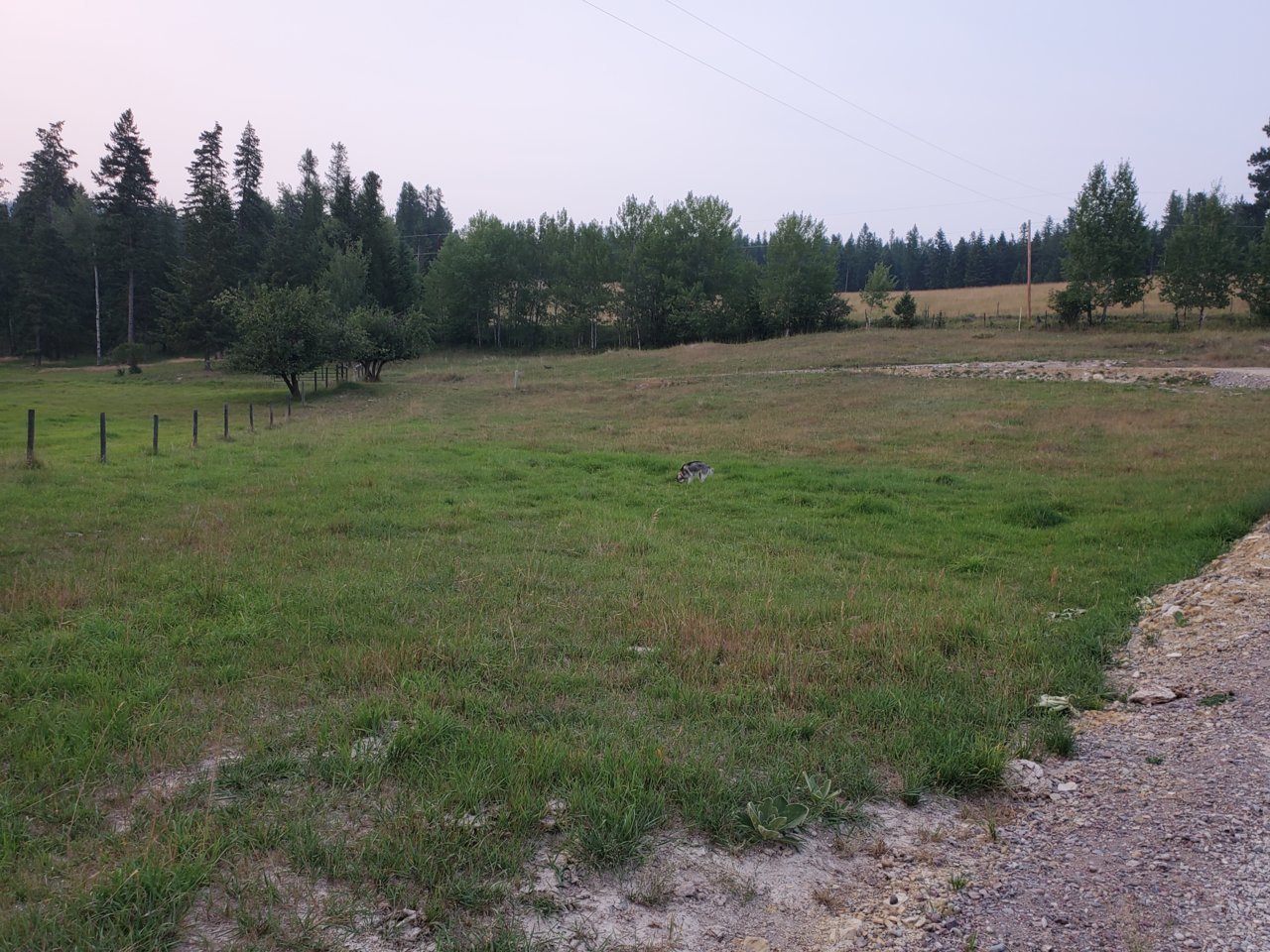 20210803_202630.jpg