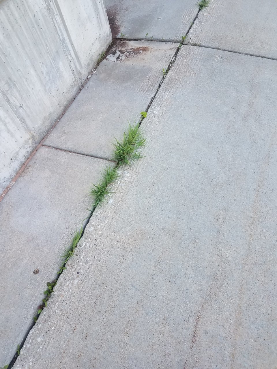 20210804_163046.jpg