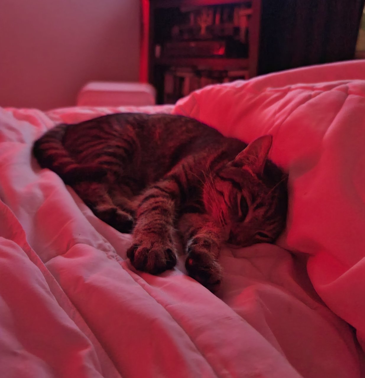 20210807_025924.jpg