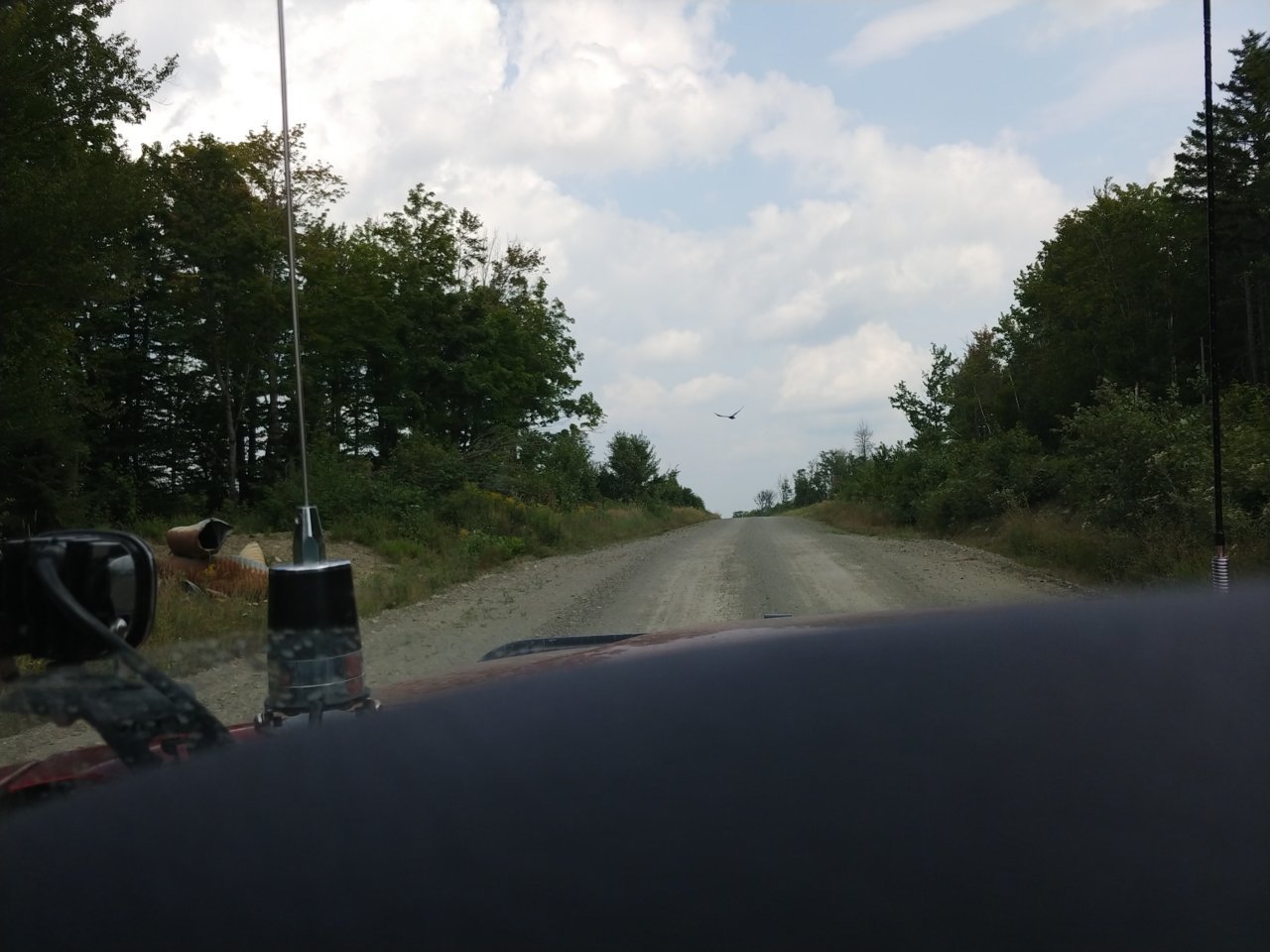 20210807_123202_HDR.jpg