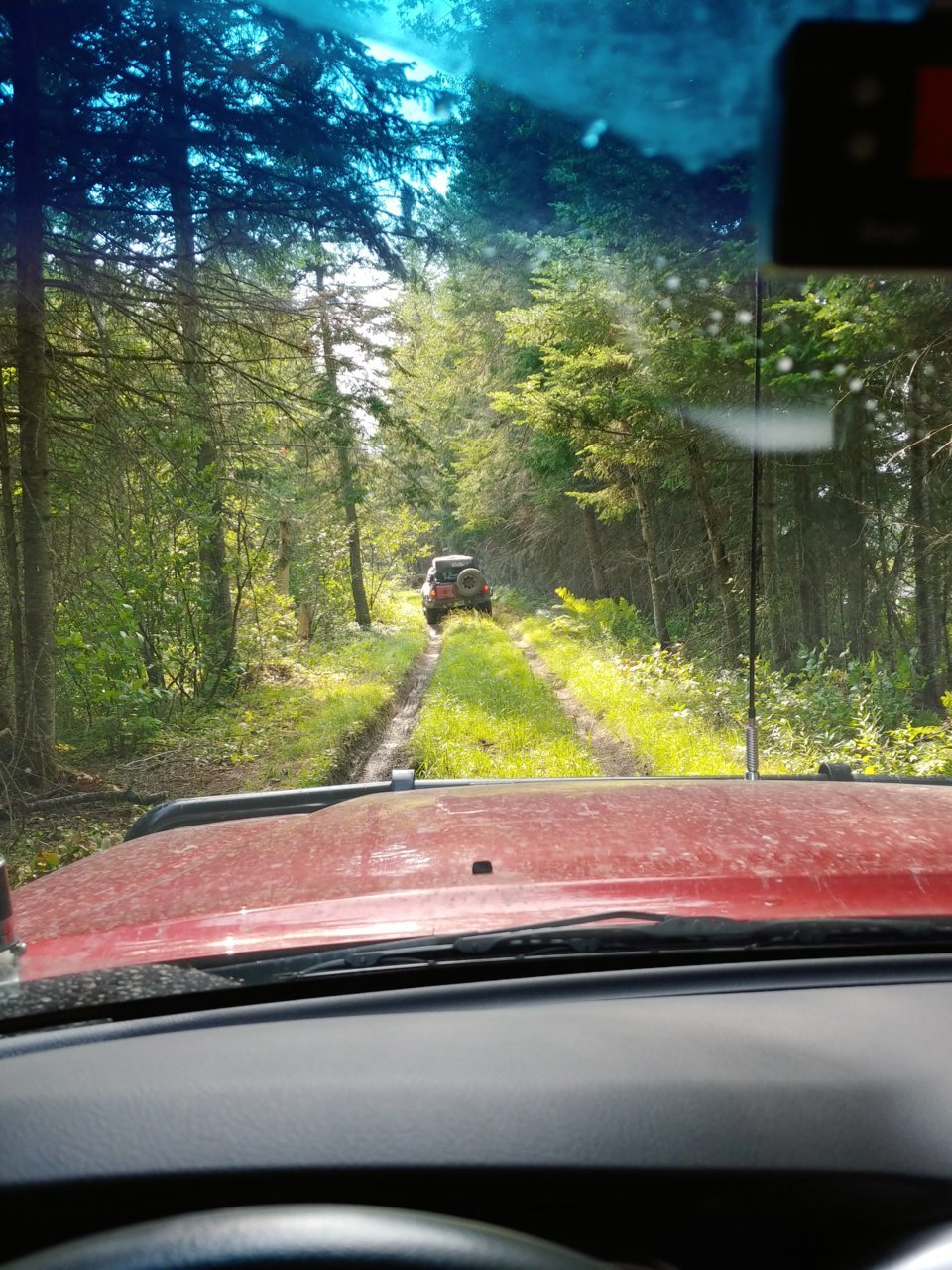 20210807_161558_HDR.jpg