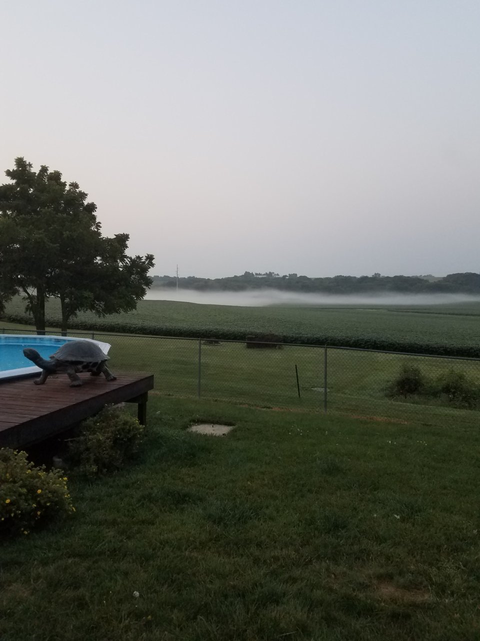 20210809_062802.jpg