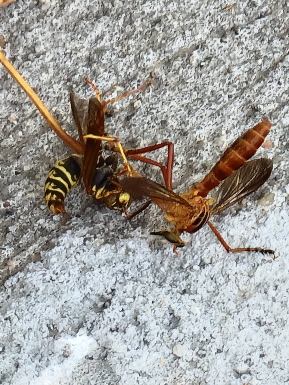 20210809_115023.jpg