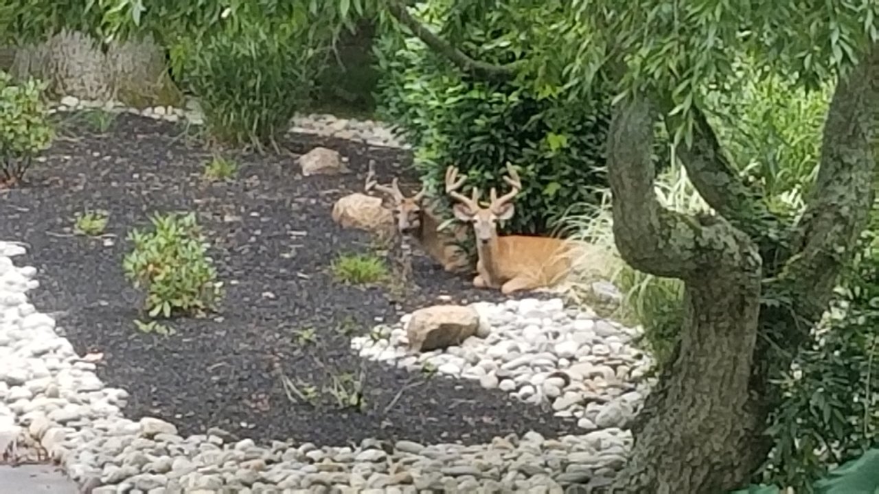 20210809_163420.jpg