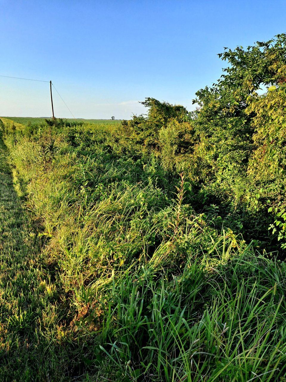 20210812_185632.jpg
