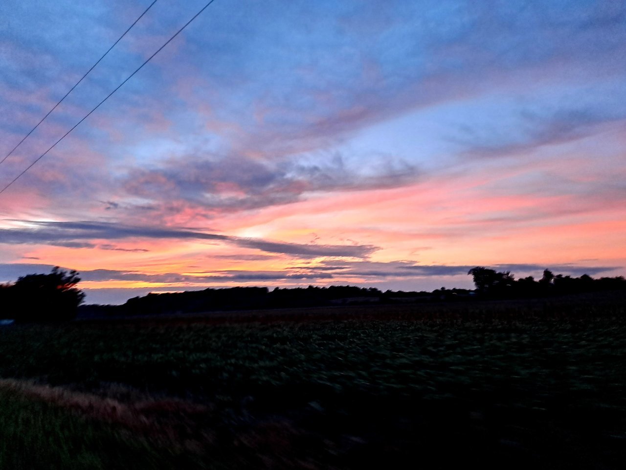 20210813_200231.jpg