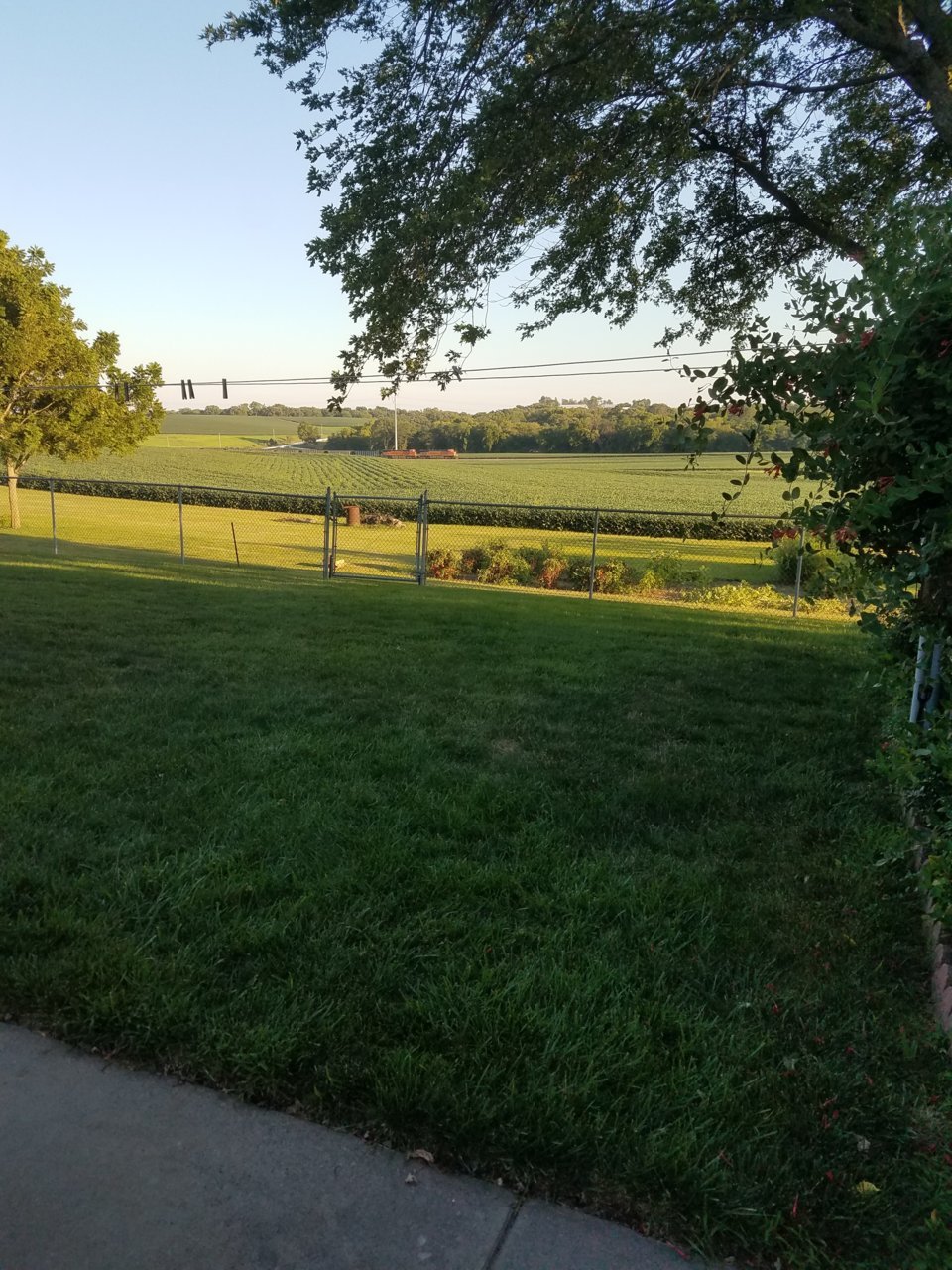 20210816_191121.jpg