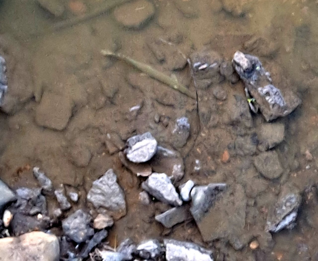 20210817_191958.jpg