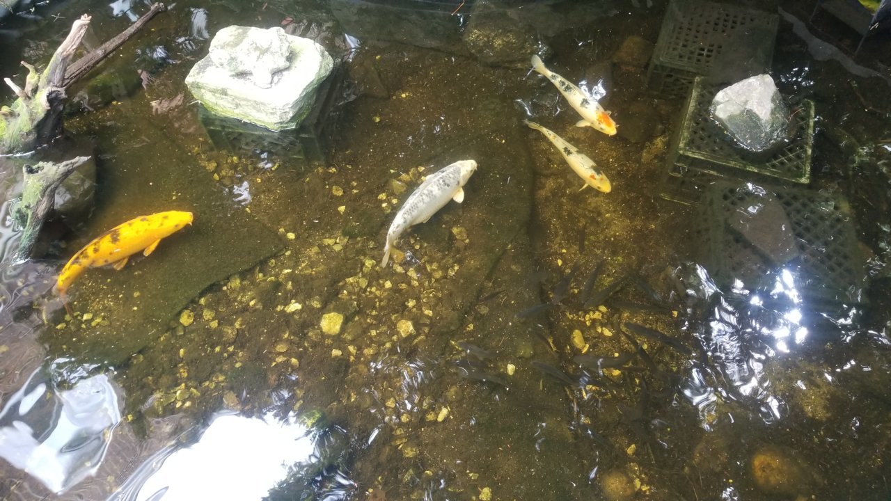 20210818_151506.jpg