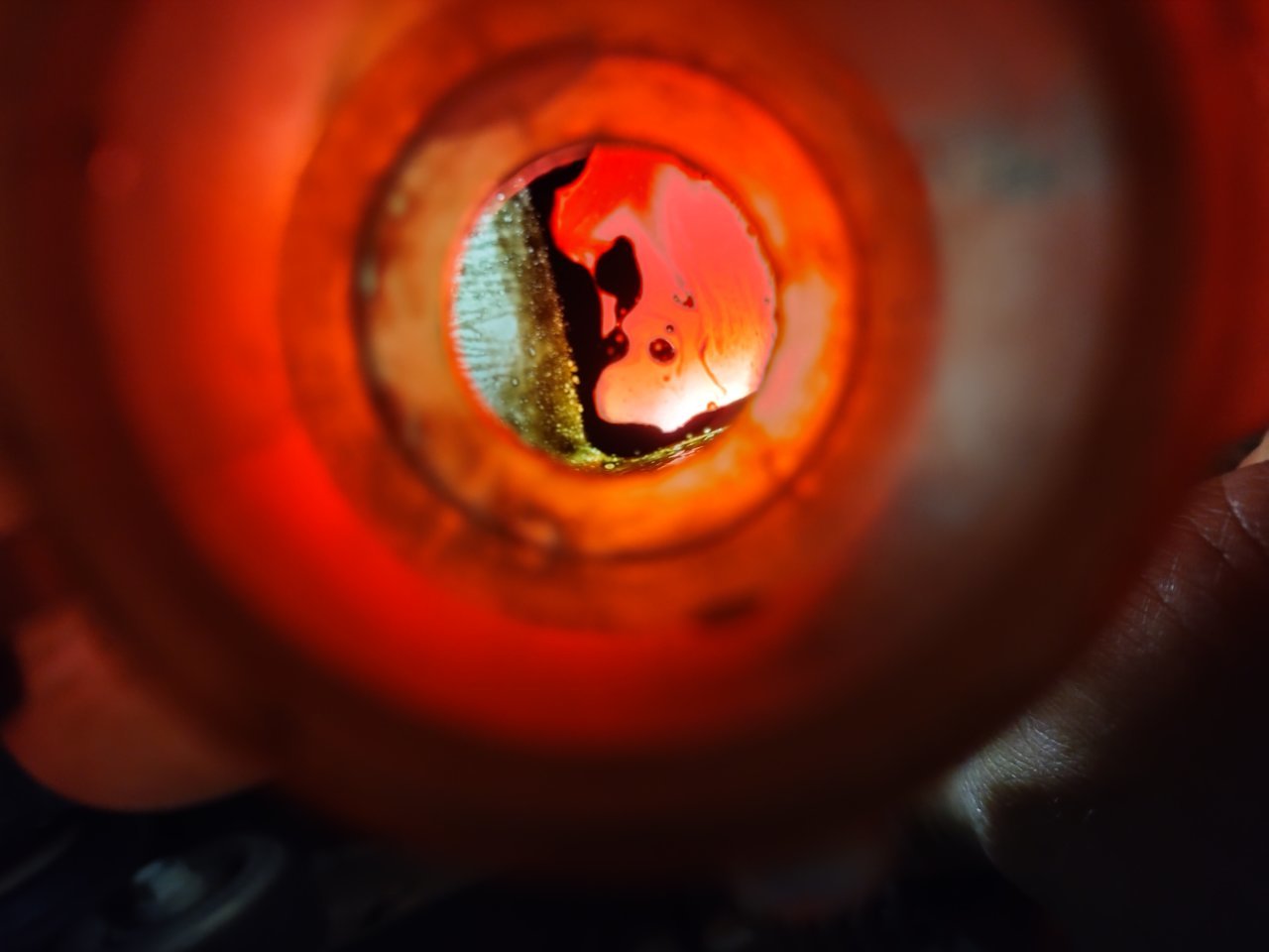 20210819_033949_HDR.jpg