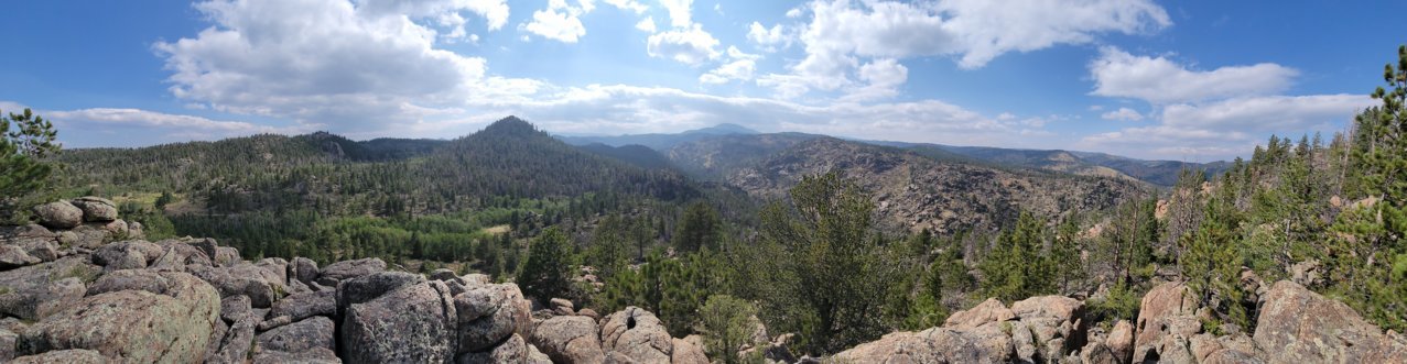 20210820_154253.jpg