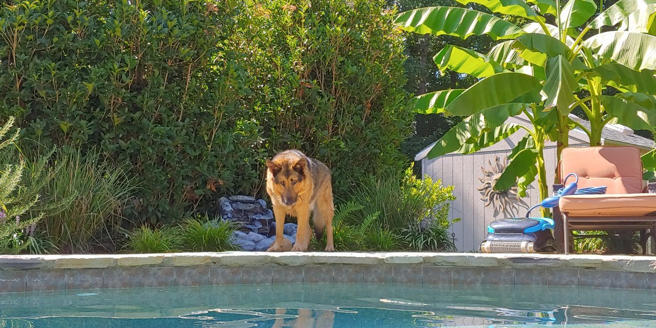 20210822_155804_HDR.jpg