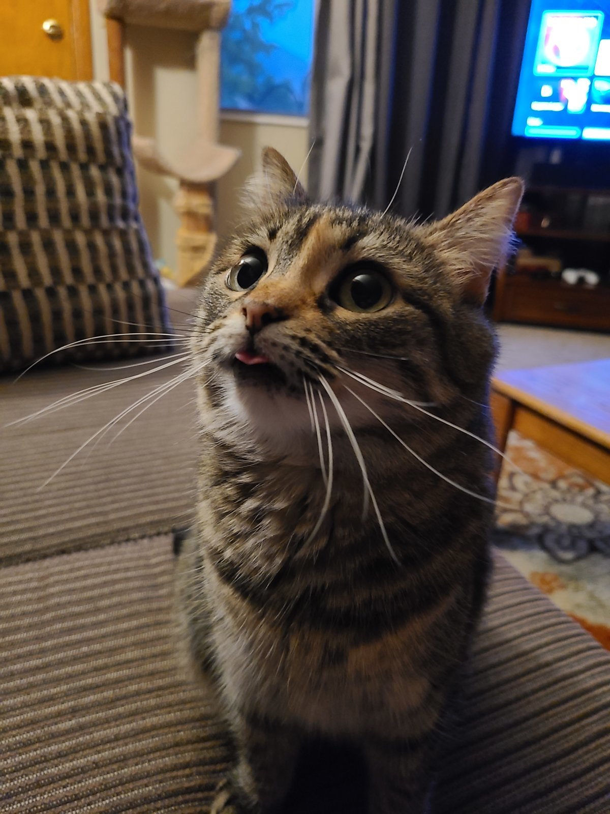 20210822_203332.jpg