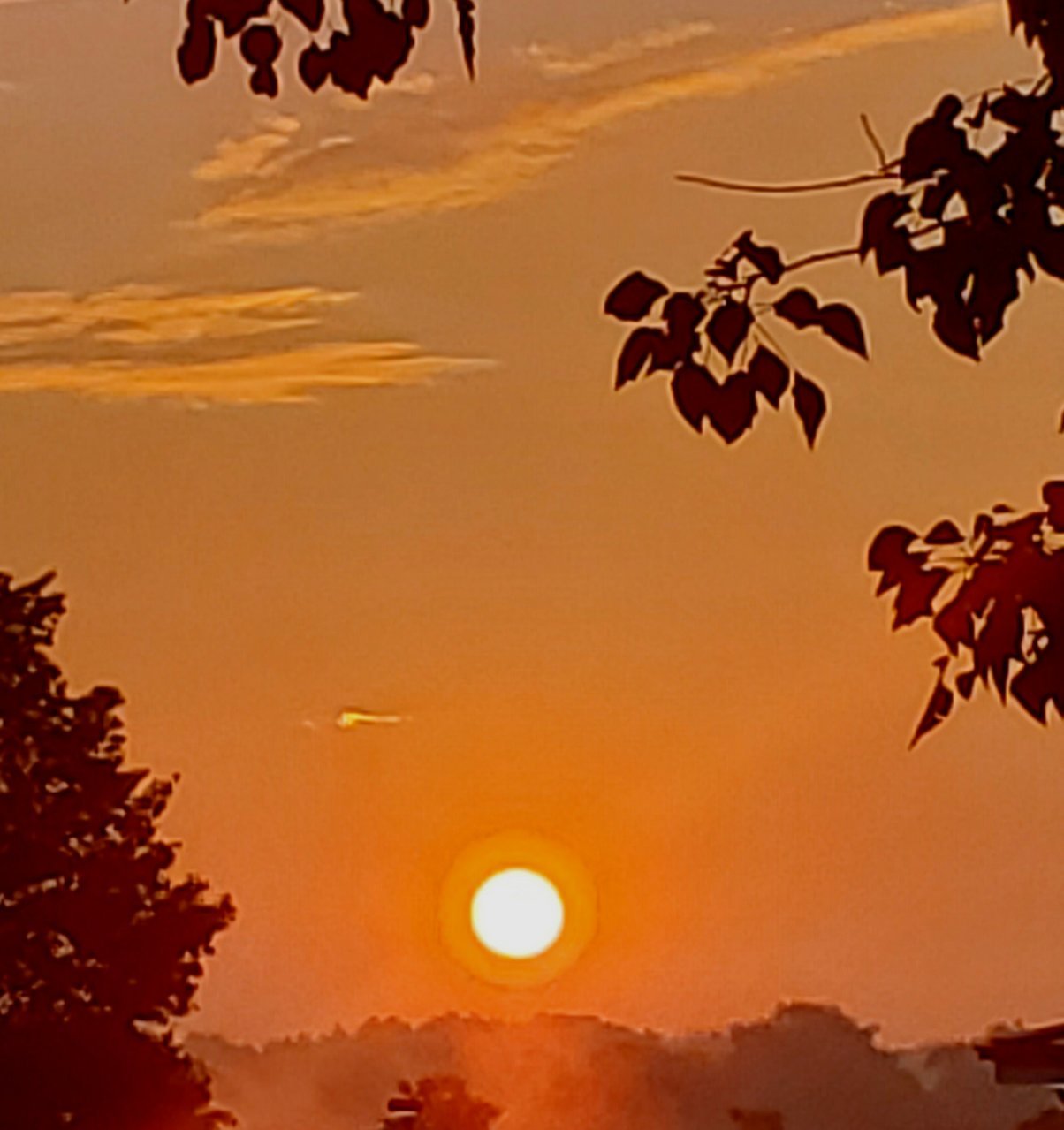 20210823_070120.jpg