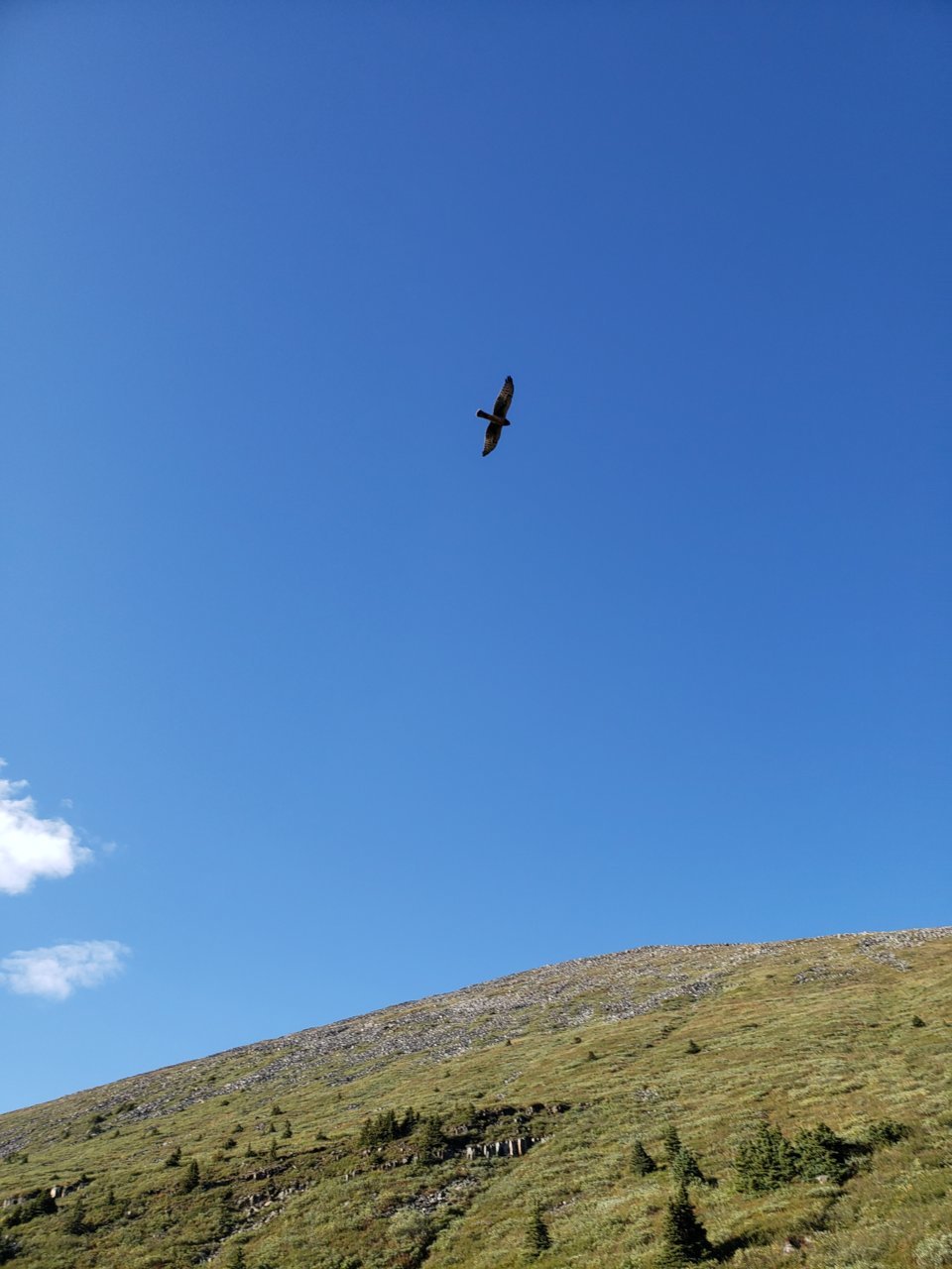 20210824_173410.jpg