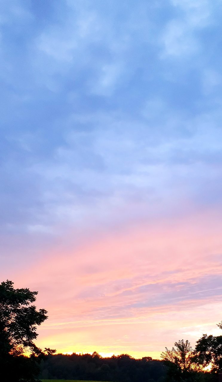 20210825_201309.jpg