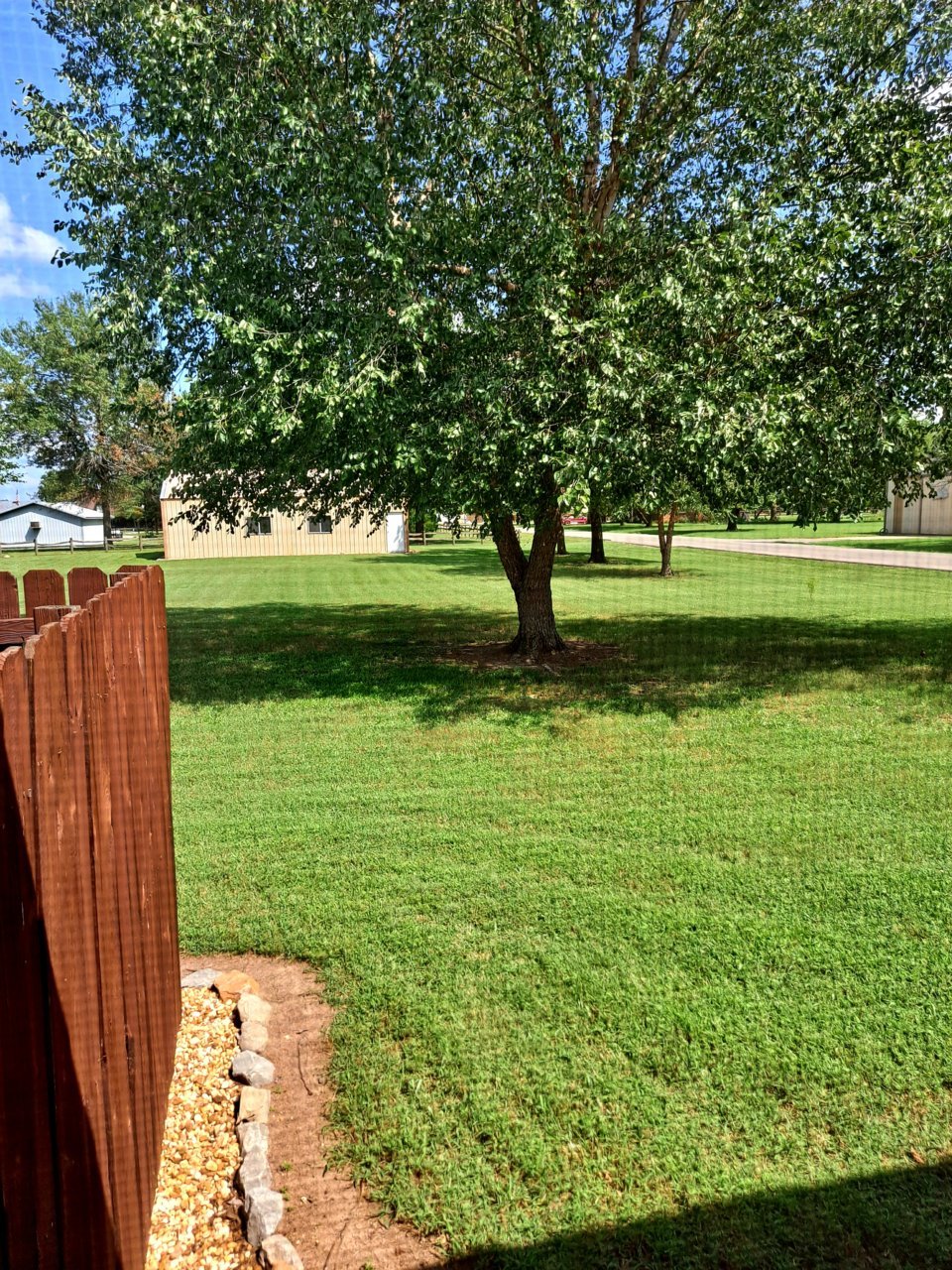 20210827_143215.jpg