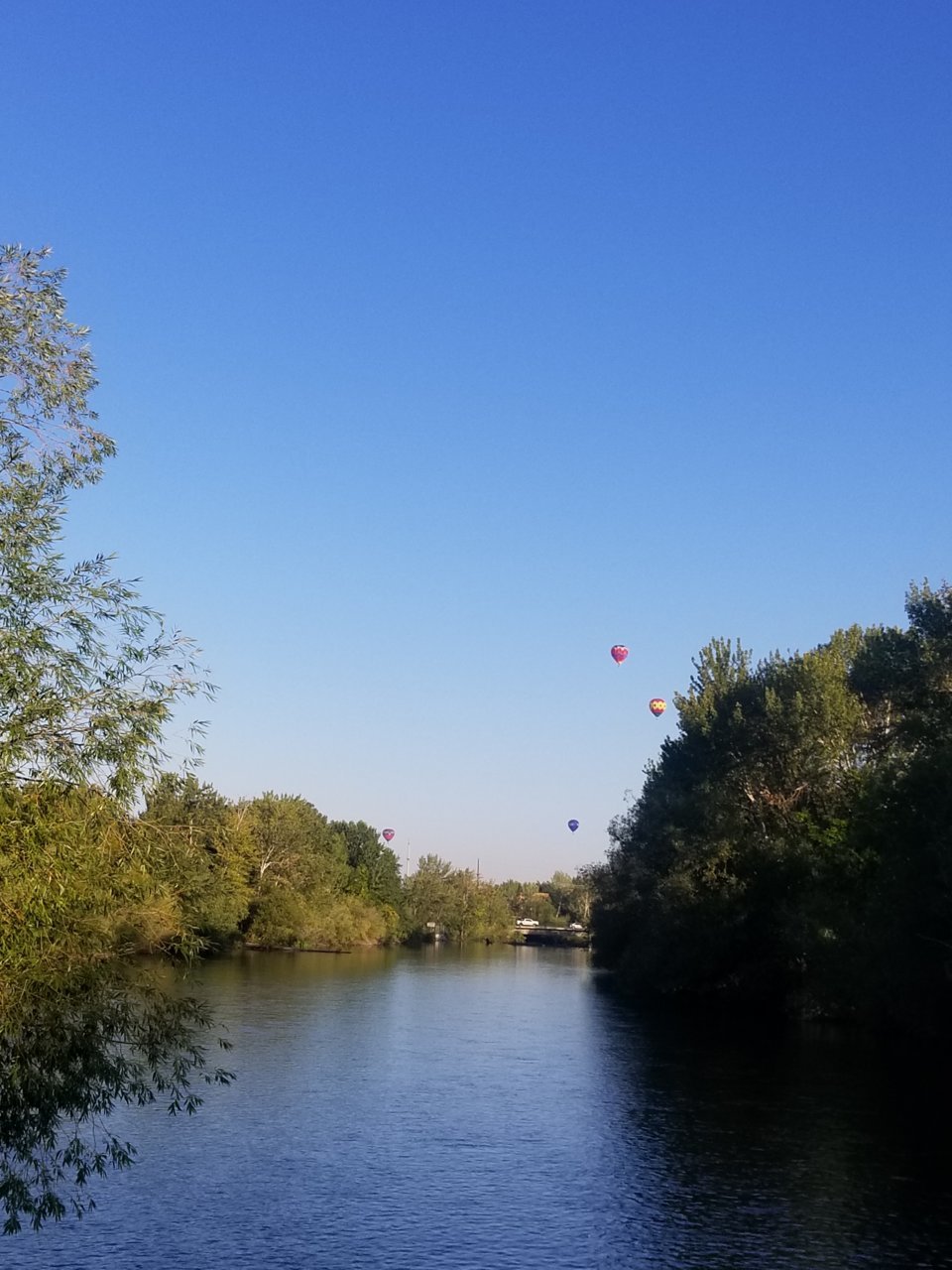 20210903_083528.jpg