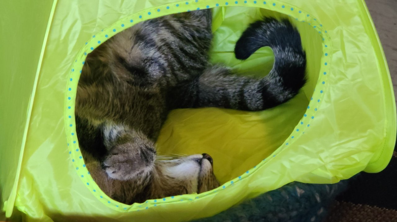 20210903_172151.jpg