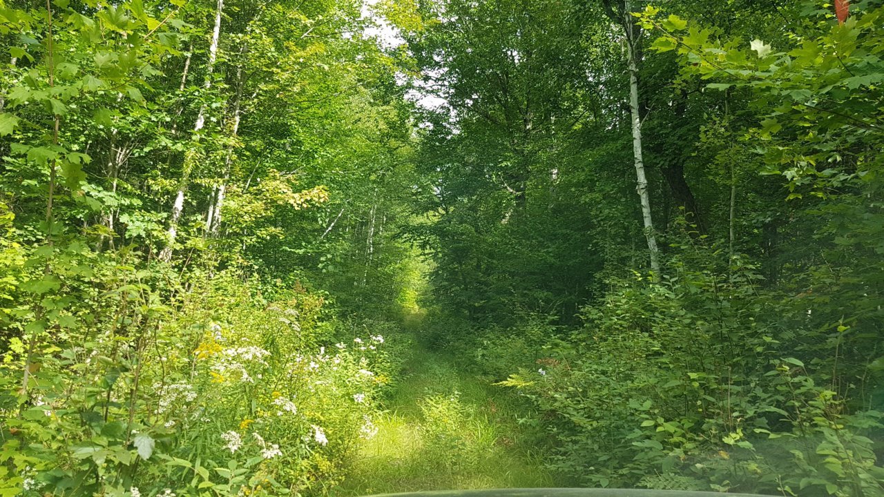 20210904_114403.jpg